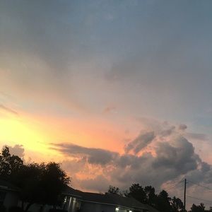 Meet your Posher, Rosa